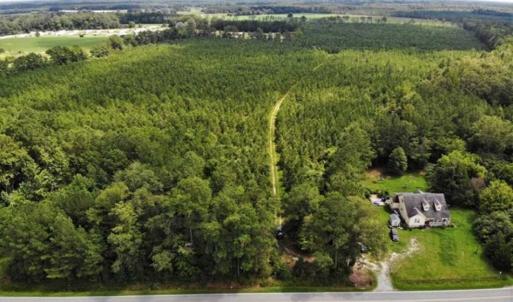 Photo of SOLD!!  105 Acres of Hunting and Timber Land For Sale in Northampton County NC!