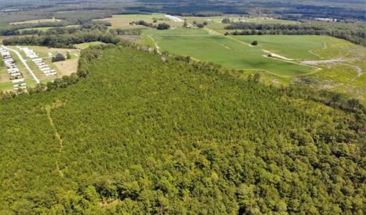 Photo of SOLD!!  105 Acres of Hunting and Timber Land For Sale in Northampton County NC!