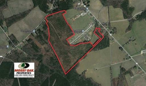 Photo of SOLD!!  105 Acres of Hunting and Timber Land For Sale in Northampton County NC!