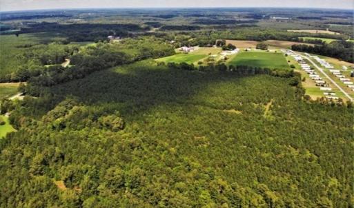 Photo of SOLD!!  105 Acres of Hunting and Timber Land For Sale in Northampton County NC!