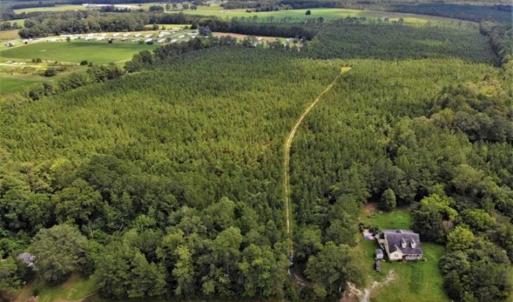 Photo of SOLD!!  105 Acres of Hunting and Timber Land For Sale in Northampton County NC!
