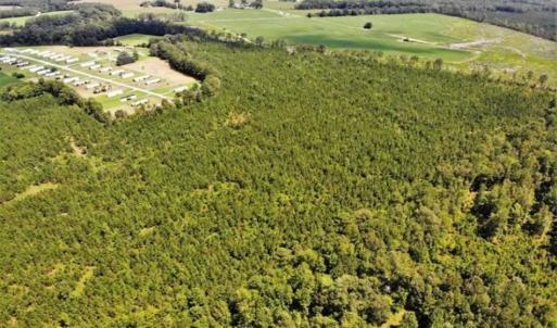 Photo of SOLD!!  105 Acres of Hunting and Timber Land For Sale in Northampton County NC!