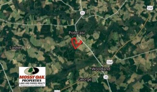 Photo of SOLD!!  105 Acres of Hunting and Timber Land For Sale in Northampton County NC!