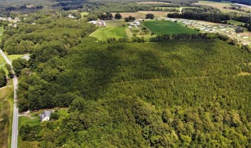 Photo of SOLD!!  105 Acres of Hunting and Timber Land For Sale in Northampton County NC!