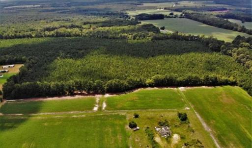 Photo of SOLD!!  105 Acres of Hunting and Timber Land For Sale in Northampton County NC!