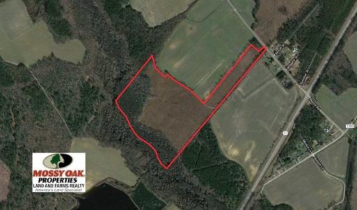 Photo of 55 Acres of Timber and Hunting Land For Sale in Bertie County NC!