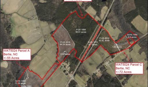 Photo of 55 Acres of Timber and Hunting Land For Sale in Bertie County NC!