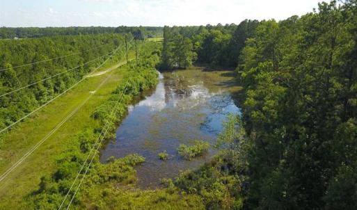 Photo of 297 Acres of Timber and Hunting Land For Sale in Gates County NC and Suffolk VA!