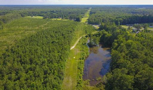 Photo of 297 Acres of Timber and Hunting Land For Sale in Gates County NC and Suffolk VA!