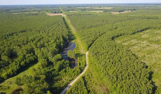 Photo of 297 Acres of Timber and Hunting Land For Sale in Gates County NC and Suffolk VA!