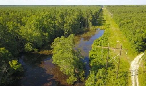 Photo of 297 Acres of Timber and Hunting Land For Sale in Gates County NC and Suffolk VA!