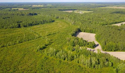Photo of 297 Acres of Timber and Hunting Land For Sale in Gates County NC and Suffolk VA!