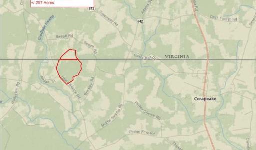 Photo of 297 Acres of Timber and Hunting Land For Sale in Gates County NC and Suffolk VA!