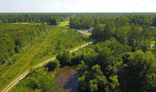 Photo of 297 Acres of Timber and Hunting Land For Sale in Gates County NC and Suffolk VA!