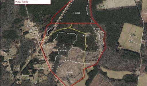 Photo of 297 Acres of Timber and Hunting Land For Sale in Gates County NC and Suffolk VA!