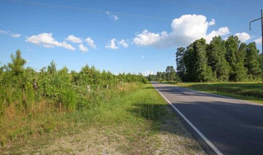 Photo of 297 Acres of Timber and Hunting Land For Sale in Gates County NC and Suffolk VA!