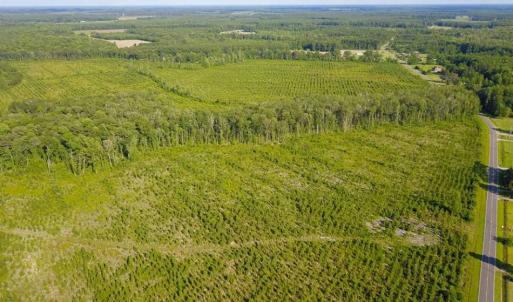 Photo of 297 Acres of Timber and Hunting Land For Sale in Gates County NC and Suffolk VA!