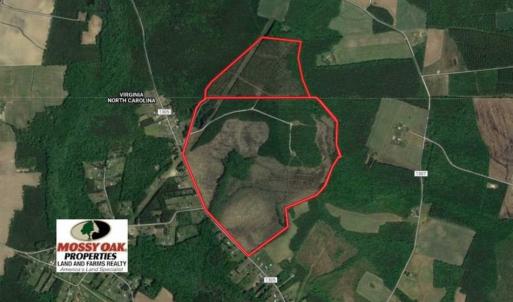 Photo of 297 Acres of Timber and Hunting Land For Sale in Gates County NC and Suffolk VA!
