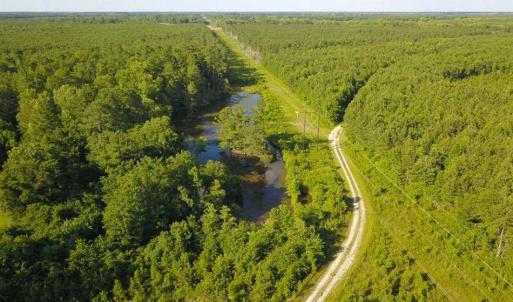 Photo of 297 Acres of Timber and Hunting Land For Sale in Gates County NC and Suffolk VA!