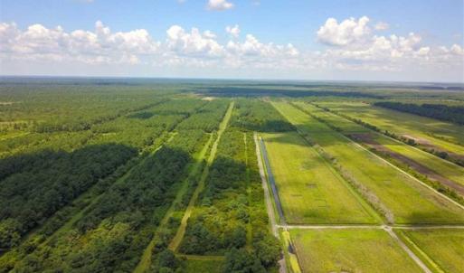 Photo of 564 Acres of Hunting Land For Sale in Hyde County NC!