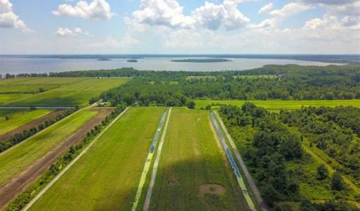Photo of 564 Acres of Hunting Land For Sale in Hyde County NC!