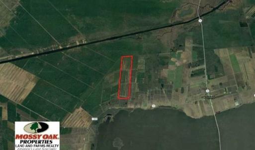 Photo of 564 Acres of Hunting Land For Sale in Hyde County NC!