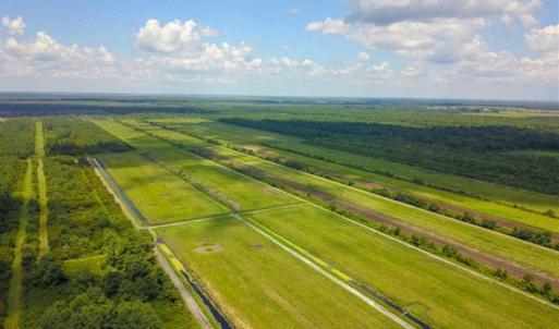 Photo of 564 Acres of Hunting Land For Sale in Hyde County NC!