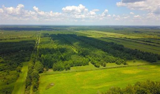 Photo of 564 Acres of Hunting Land For Sale in Hyde County NC!