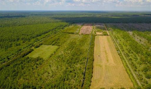 Photo of 564 Acres of Hunting Land For Sale in Hyde County NC!