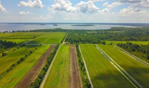 Photo of 564 Acres of Hunting Land For Sale in Hyde County NC!