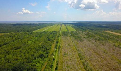 Photo of 564 Acres of Hunting Land For Sale in Hyde County NC!