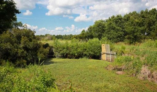 Photo of 564 Acres of Hunting Land For Sale in Hyde County NC!