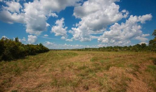 Photo of 564 Acres of Hunting Land For Sale in Hyde County NC!