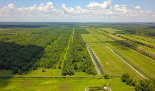 Photo of 564 Acres of Hunting Land For Sale in Hyde County NC!
