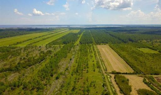 Photo of 564 Acres of Hunting Land For Sale in Hyde County NC!