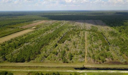 Photo of 564 Acres of Hunting Land For Sale in Hyde County NC!