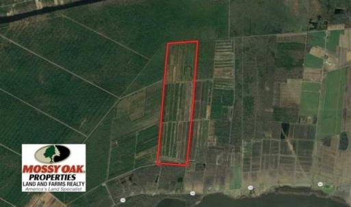 Photo of 564 Acres of Hunting Land For Sale in Hyde County NC!