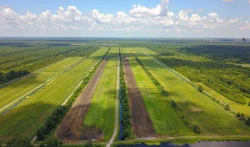 Photo of 564 Acres of Hunting Land For Sale in Hyde County NC!