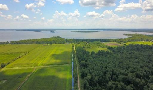 Photo of 564 Acres of Hunting Land For Sale in Hyde County NC!