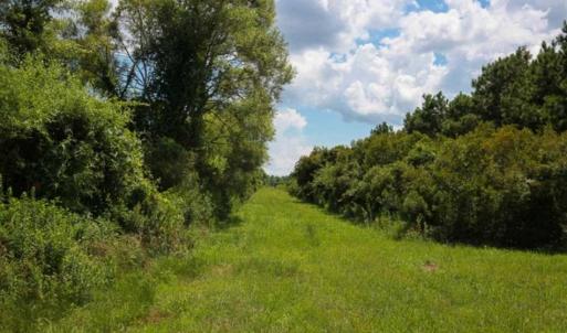 Photo of 564 Acres of Hunting Land For Sale in Hyde County NC!
