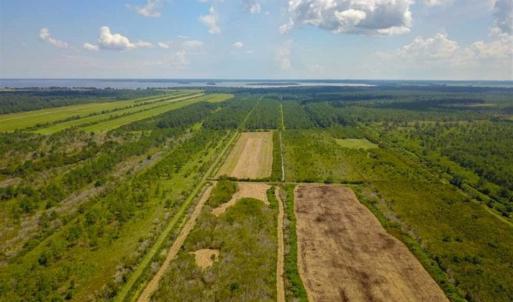 Photo of 564 Acres of Hunting Land For Sale in Hyde County NC!