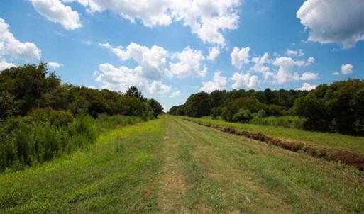 Photo of 564 Acres of Hunting Land For Sale in Hyde County NC!