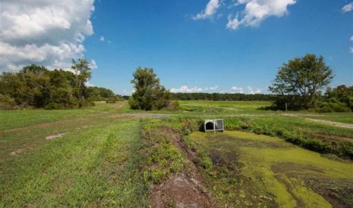 Photo of 564 Acres of Hunting Land For Sale in Hyde County NC!