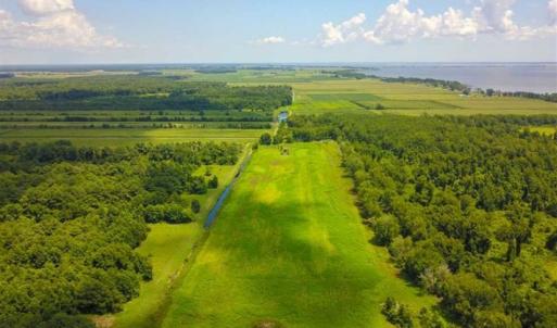Photo of 564 Acres of Hunting Land For Sale in Hyde County NC!