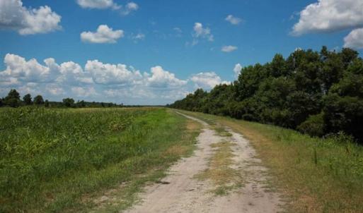 Photo of 564 Acres of Hunting Land For Sale in Hyde County NC!