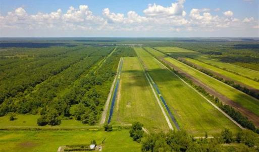 Photo of 564 Acres of Hunting Land For Sale in Hyde County NC!