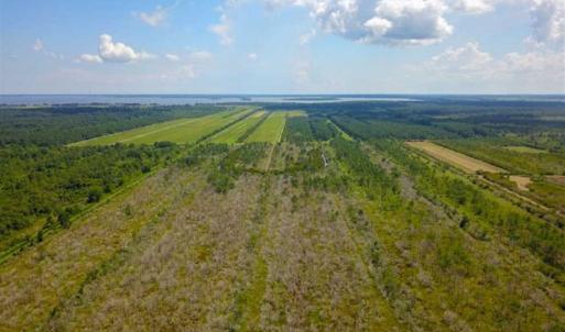 Photo of 564 Acres of Hunting Land For Sale in Hyde County NC!