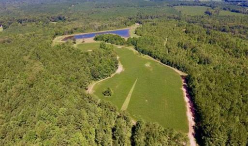 Photo of 200 Acres of Hunting Timberland and Agriculture Land For Sale with Pond in Warren County NC!