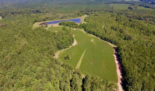 Photo of 200 Acres of Hunting Timberland and Agriculture Land For Sale with Pond in Warren County NC!