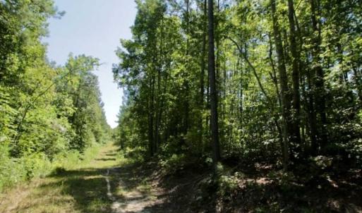Photo of 200 Acres of Hunting Timberland and Agriculture Land For Sale with Pond in Warren County NC!